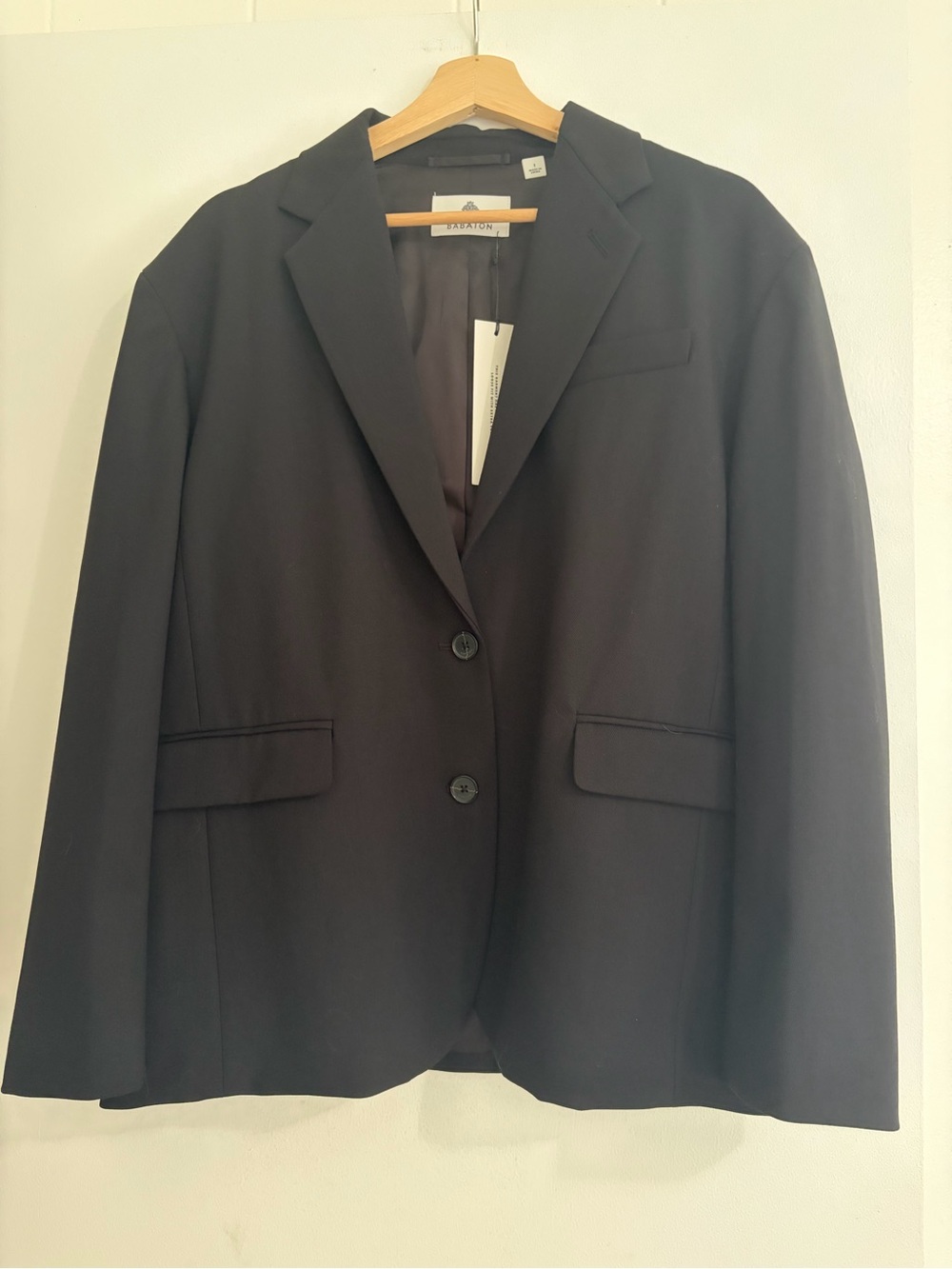 NWT Aritzia Babaton Wool Vogue Blazer - Picture 5 of 11